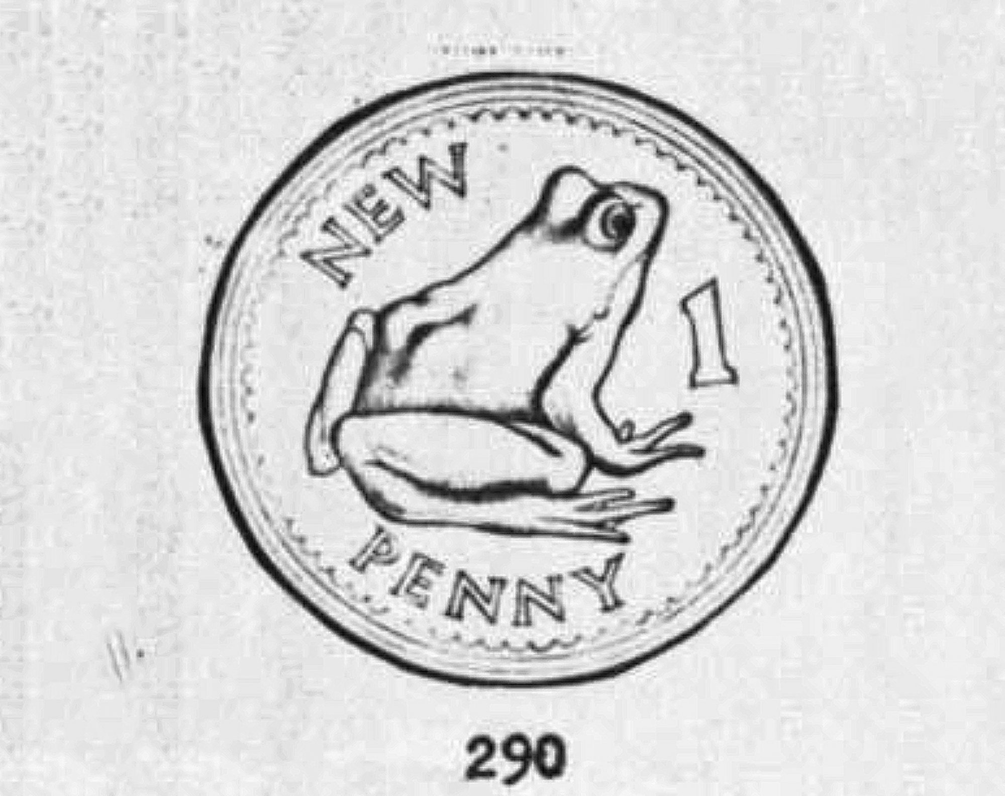 Decimal Designs Tna Frog 1P