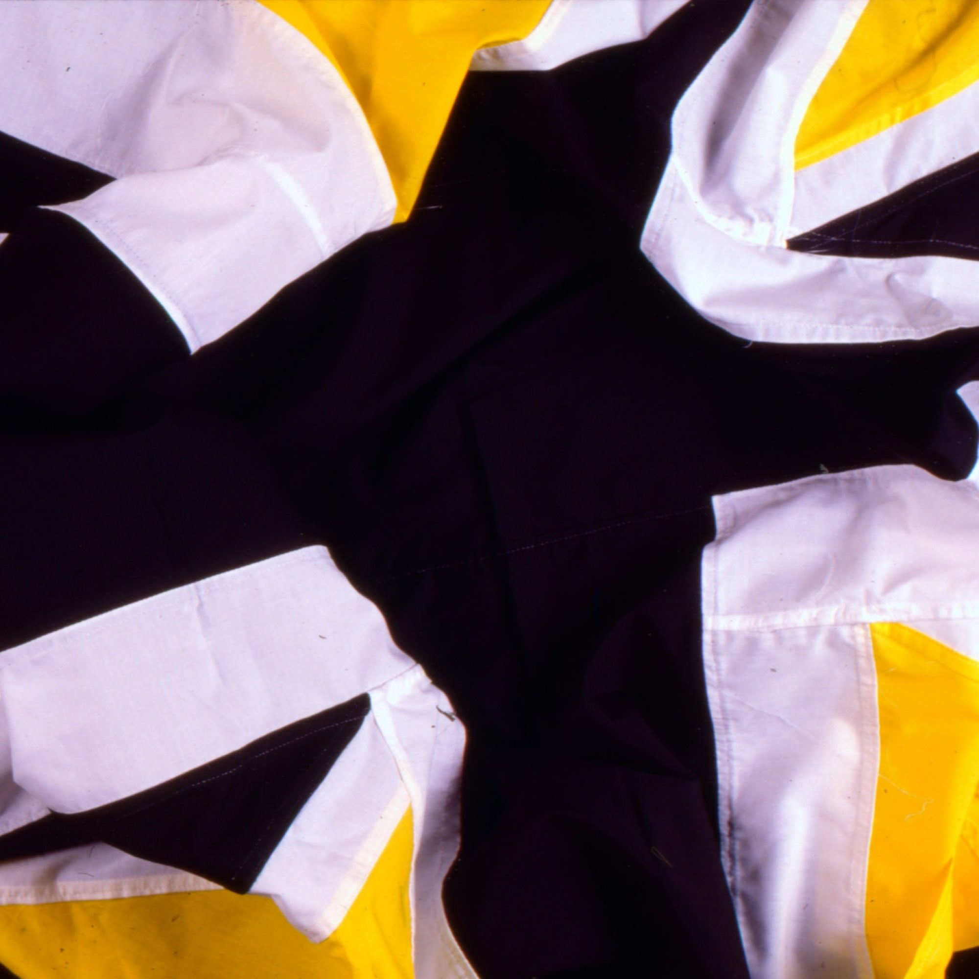 Flag Of The Republicsq