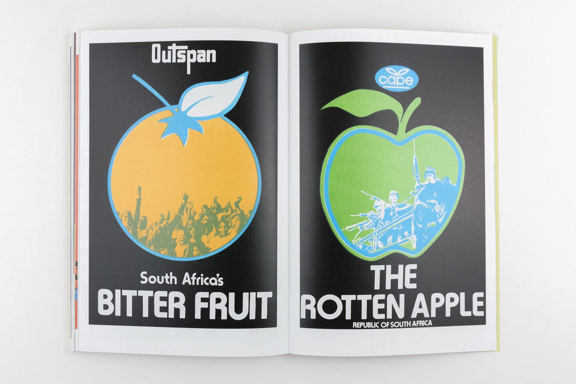 Paddington Photo Fruit B